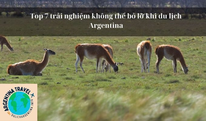 Top 7 trải nghiệm không thể bỏ lỡ khi du lịch Argentina