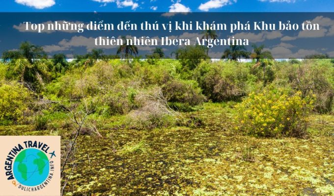 Top những điểm đến thú vị khi khám phá Khu bảo tồn thiên nhiên Ibera Argentina