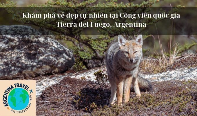 Khám phá vẻ đẹp tự nhiên tại Công viên quốc gia Tierra del Fuego, Argentina